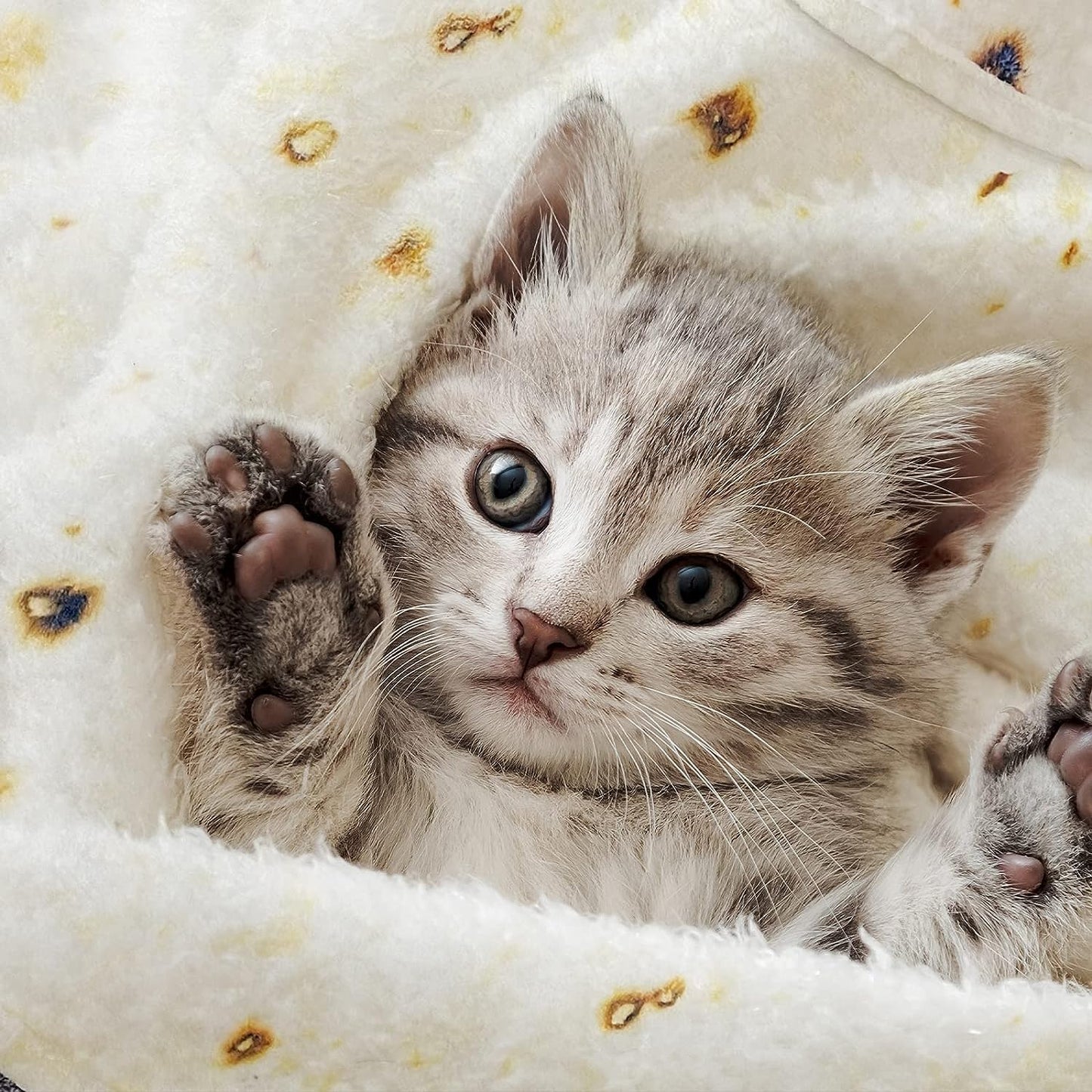 Gifts for Women Tortilla Blanket Adult Size 71 Inch, Graduation Gifts for Men and Women, Baptisms Gifts for Girl, Taco Food Burrito Blanket for Adult, Flannel Blanket Funny Gifts for Girlfriend