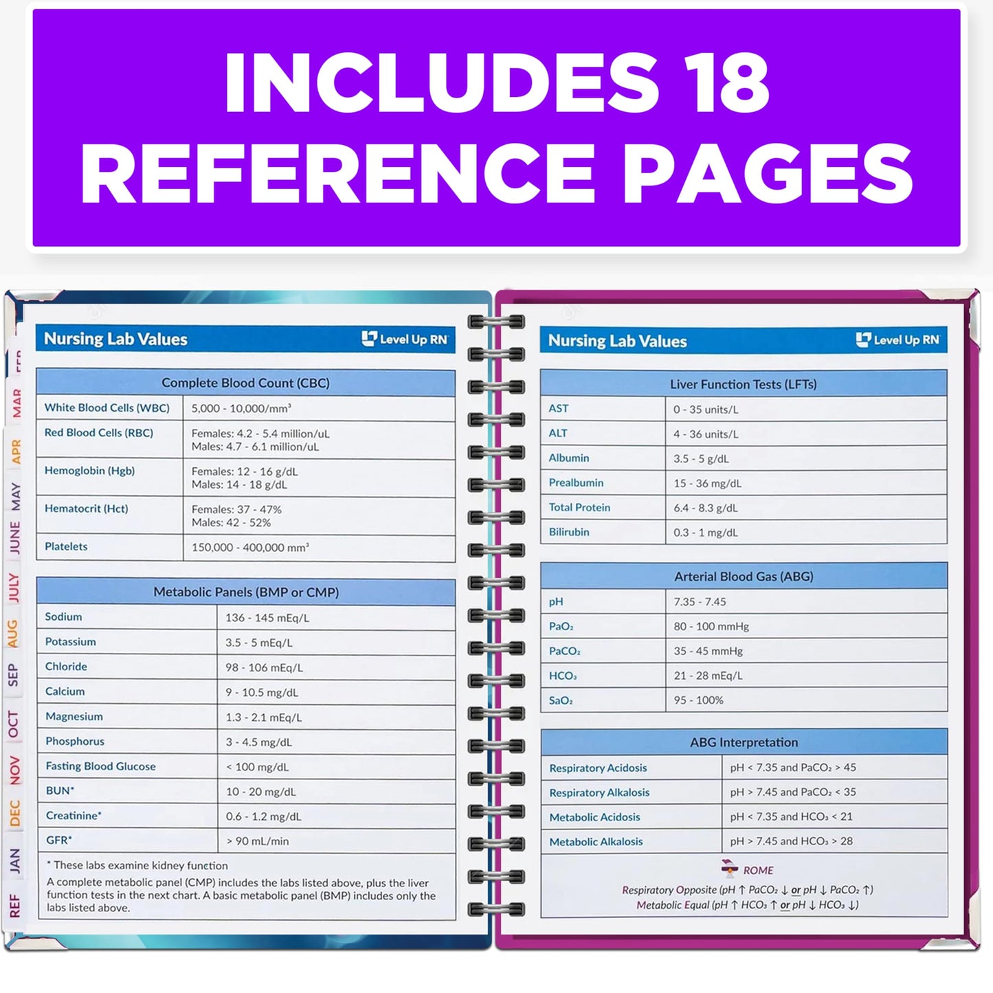 Nursing School Study Planner - Nursing Student Gifts - Spring 26/Fall 26 Calendar Year - Dates Start January 1st 2026 Through January 31st 2027